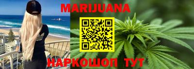 сатива Нальчик