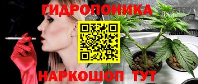 прущие грибы Наро-Фоминск