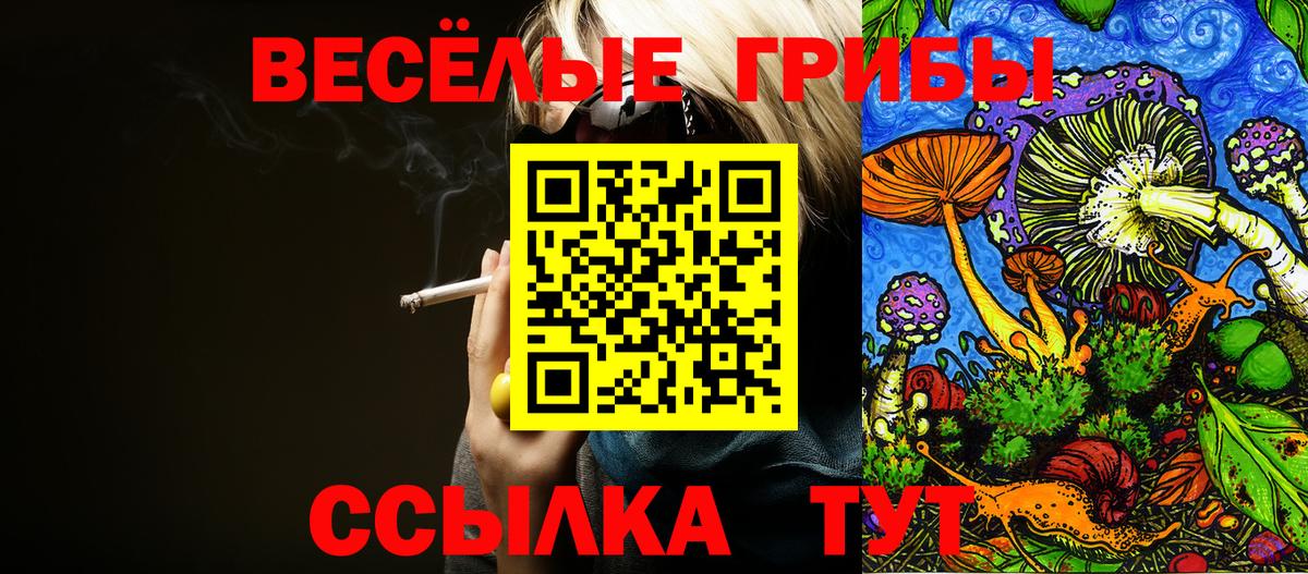 Псилоцибиновые грибы прущие грибы Узловая