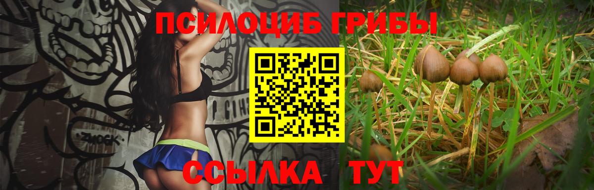 Галлюциногенные грибы мицелий  Вход с VPN  Псилоцибиновые грибы MAGIC MUSHROOMS  Узловая 